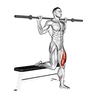 Bulgarian split squat